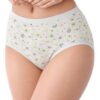 Ladies Cotton Rich Full Briefs - Image 2